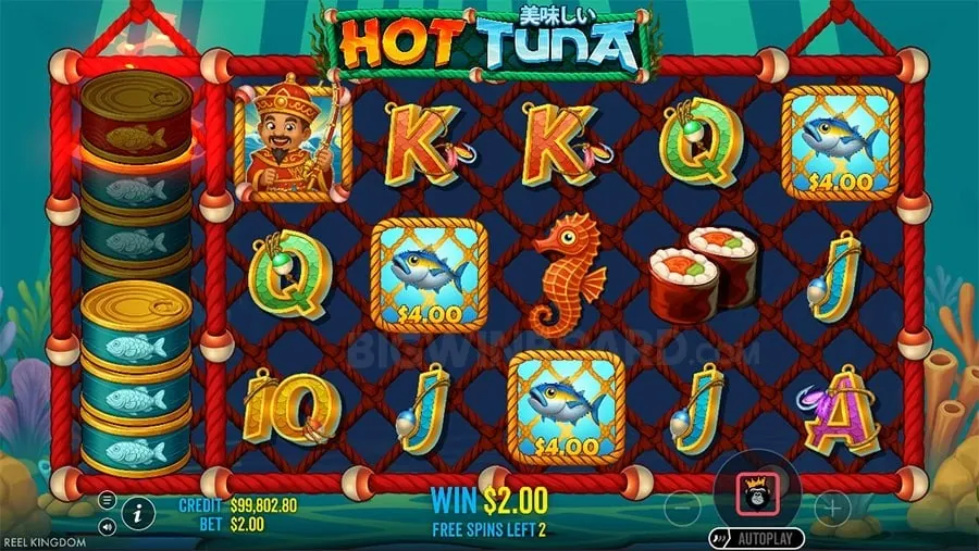 cczz login Effective Bankroll Management